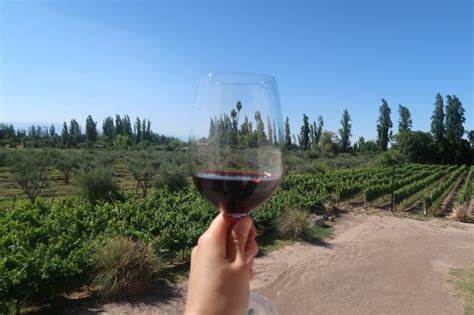 Vale do Maipo e Vinícolas